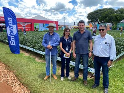 FundaÃ§Ã£o Meridional e Embrapa realizam lanÃ§amento de nova cultivar de soja no Show Rural 